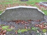 image of grave number 810155